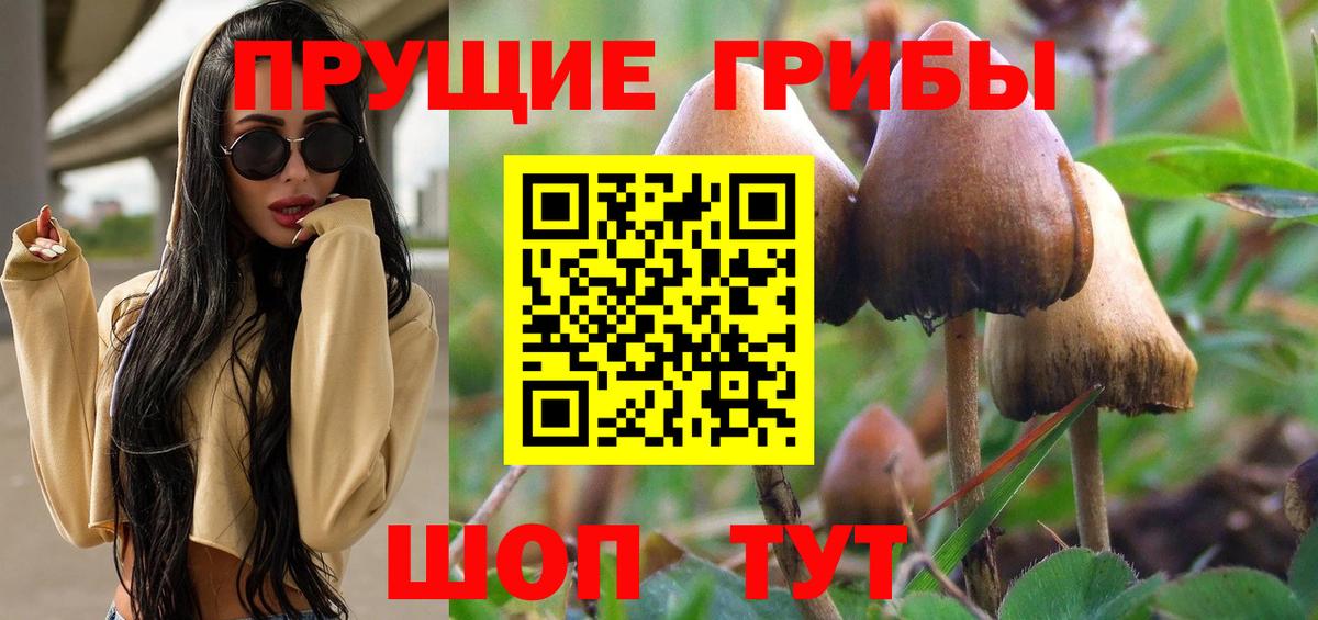 Псилоцибиновые грибы мухоморы Красноармейск