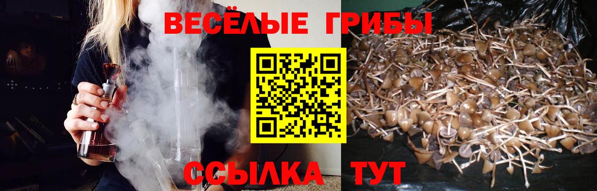 Галлюциногенные грибы мухоморы  Галлюциногенные грибы Cubensis  Красноармейск  Вход с VPN 